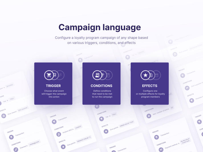 campaign-language