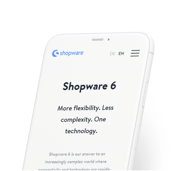 Shopware 6 development services